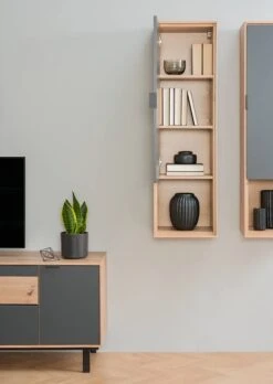 Placard Mural Leox 25 Placard Mural Leox -Armoire Soldes Boutique 1000364239 230428 024 MOOD DETAILS P000000001000364239 mood